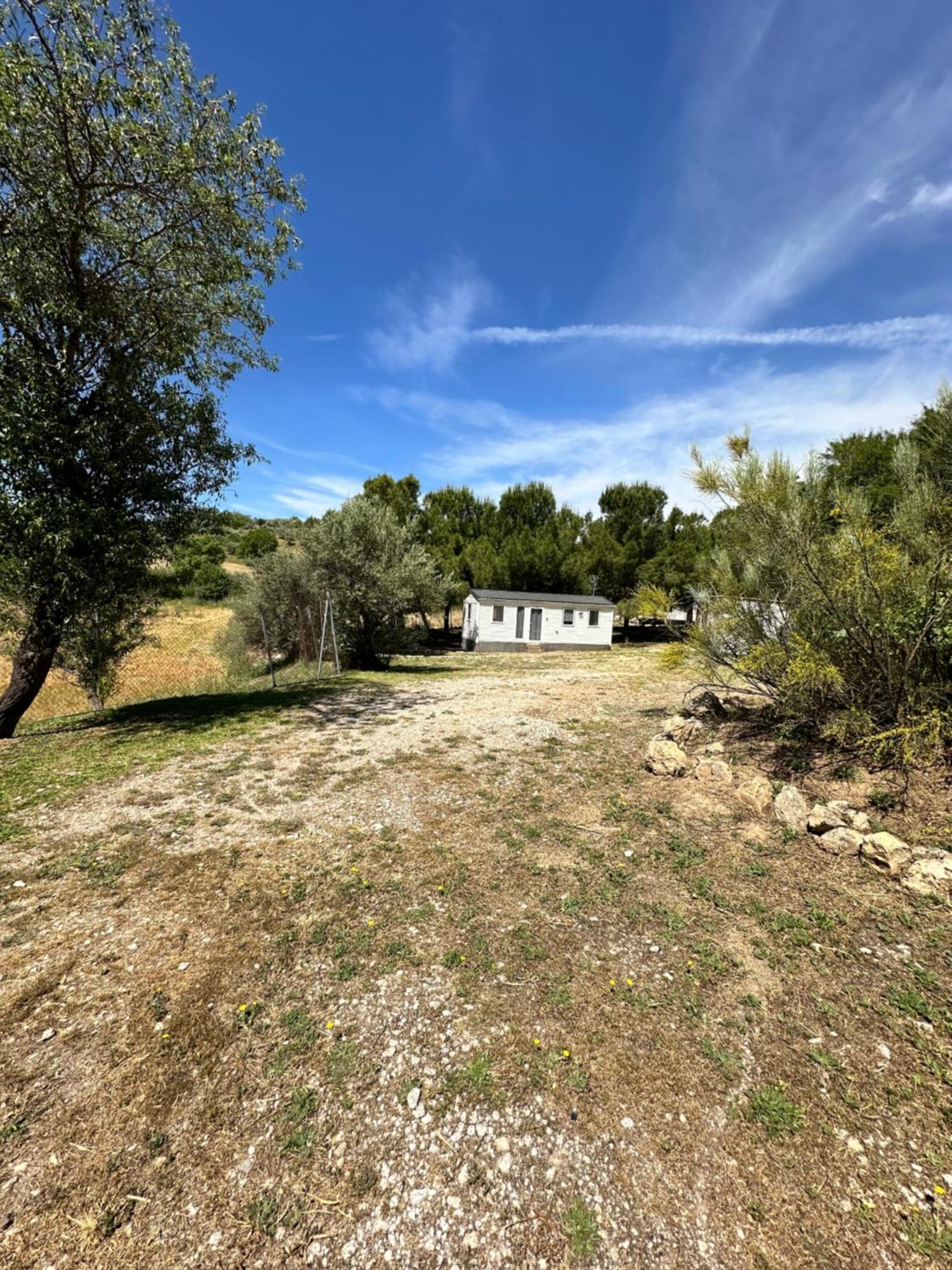 Bungalow Bambolera Torrelaguna Exteriör bild