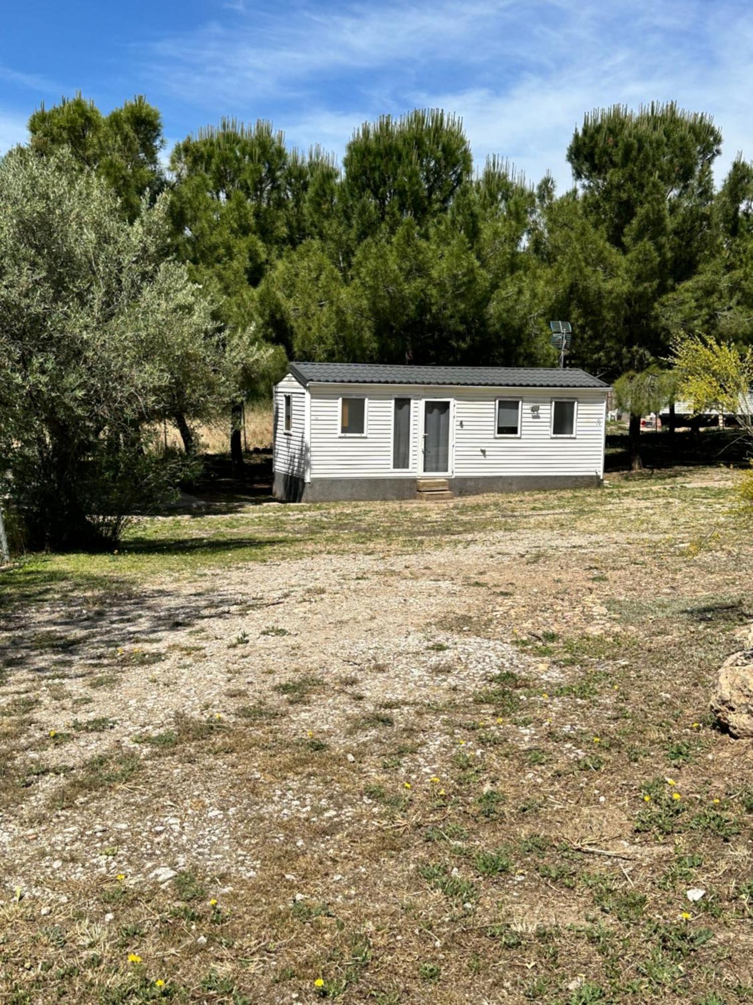 Bungalow Bambolera Torrelaguna Exteriör bild