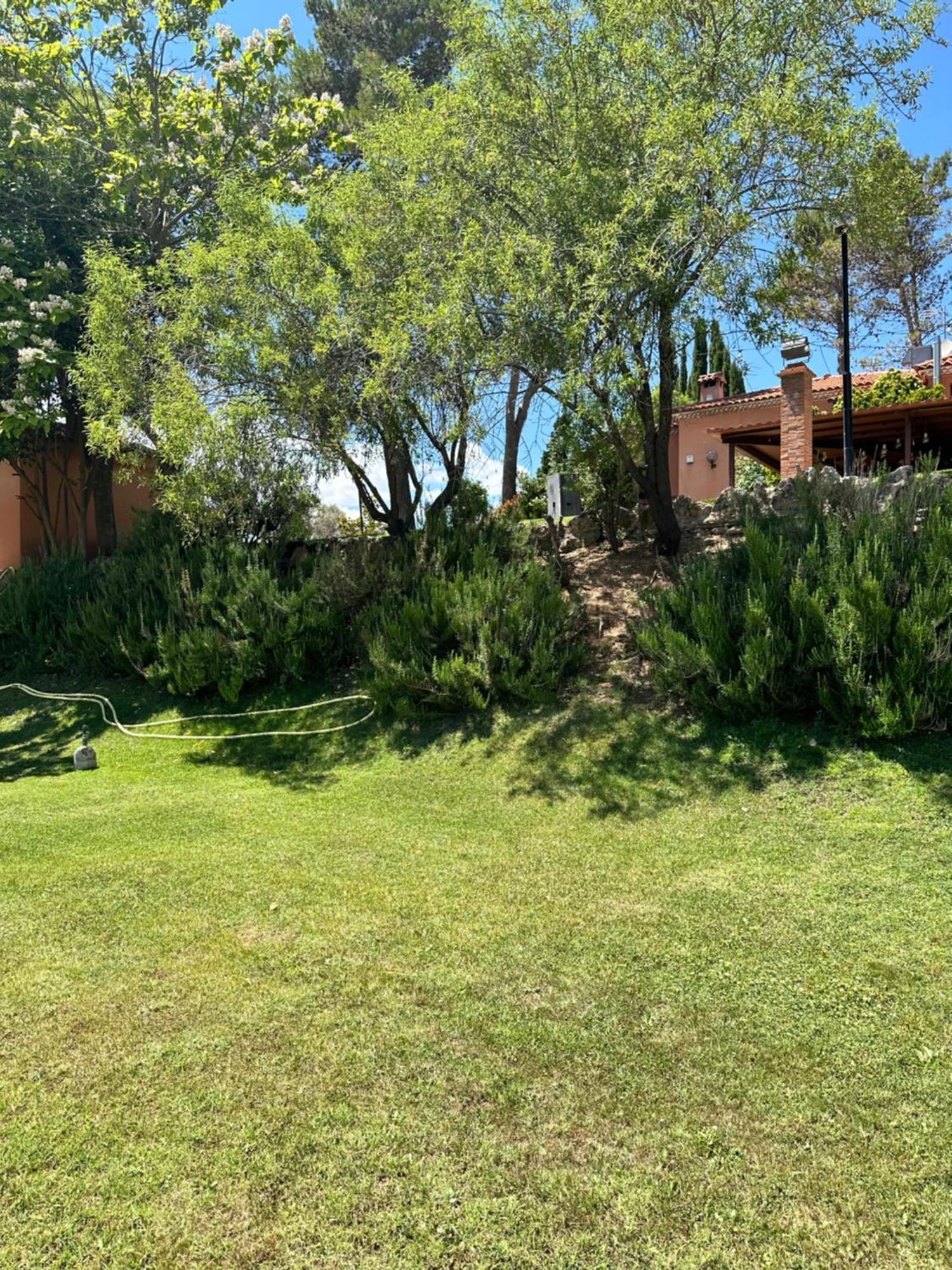 Bungalow Bambolera Torrelaguna Exteriör bild